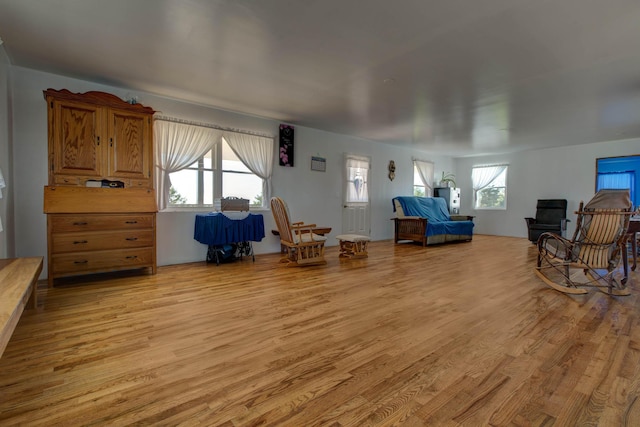 sitting room featuring light wood-type flooring and a wealth of natural light