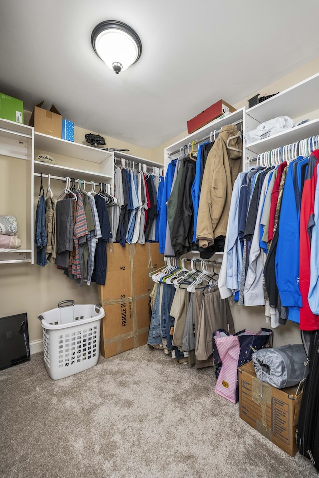 walk in closet featuring carpet flooring