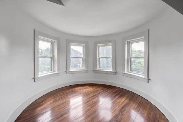 empty room with wood-type flooring