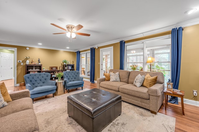 living room featuring crown molding, ceiling fan, and light wood-type flooring