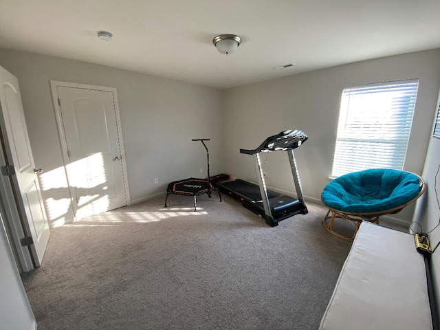 exercise area featuring carpet floors