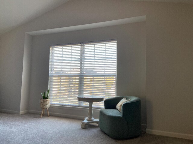 sitting room with carpet floors, a wealth of natural light, and lofted ceiling