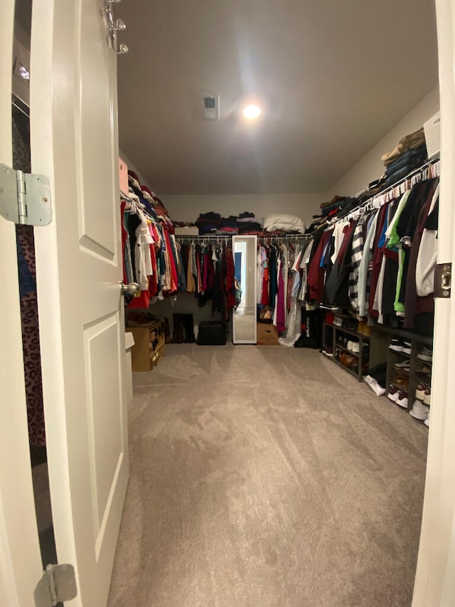 walk in closet with carpet floors