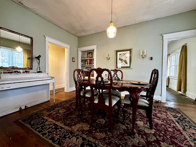 dining room featuring dark hardwood / wood-style flooring and a healthy amount of sunlight