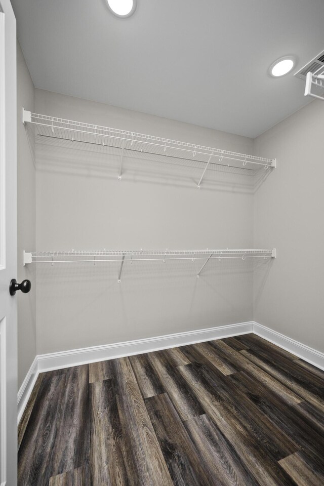 walk in closet with dark wood-type flooring