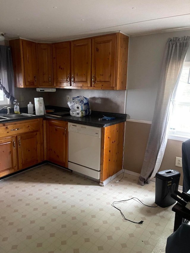 kitchen with dishwasher and sink