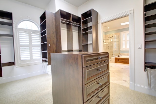 spacious closet with light colored carpet