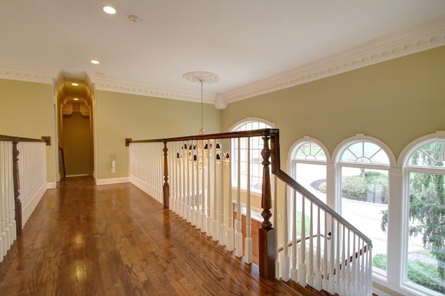 hallway featuring crown molding, plenty of natural light, dark hardwood / wood-style flooring, and a notable chandelier