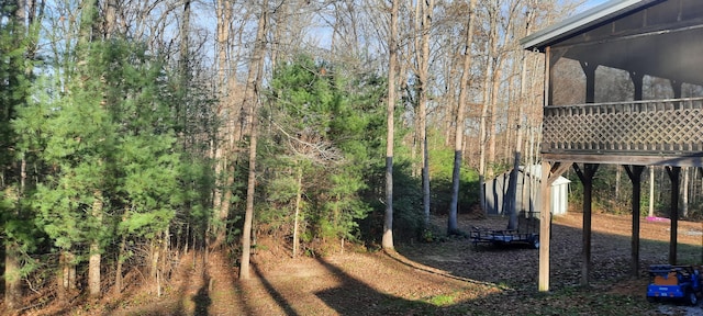 view of yard with a storage unit