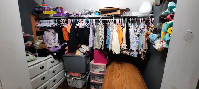 view of spacious closet