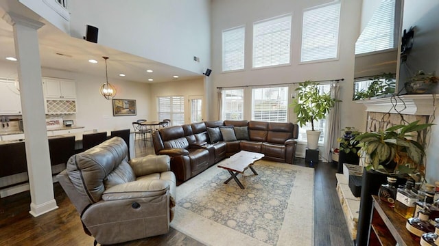 living room featuring dark hardwood / wood-style flooring and a high ceiling