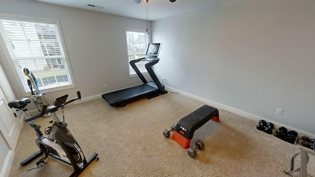 workout area with carpet flooring, ceiling fan, and a healthy amount of sunlight