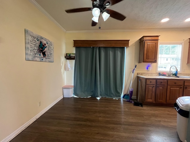 kitchen with ceiling fan, dark hardwood / wood-style flooring, sink, and crown molding