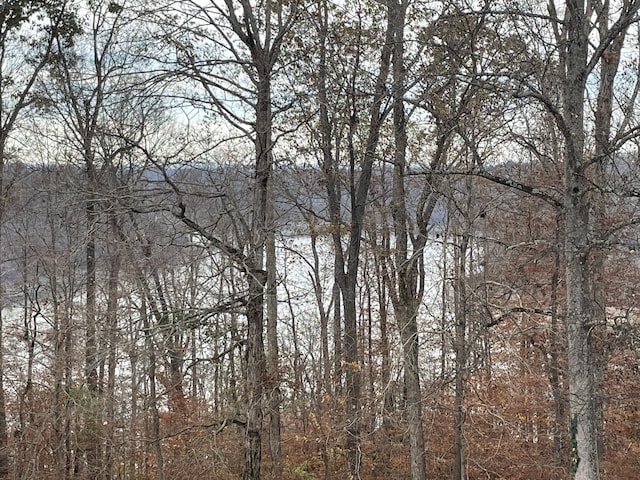 view of water feature