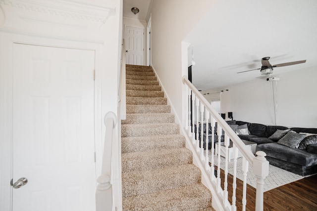 stairs with hardwood / wood-style flooring and ceiling fan