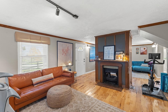 living room with track lighting, ornamental molding, a textured ceiling, and light wood-type flooring