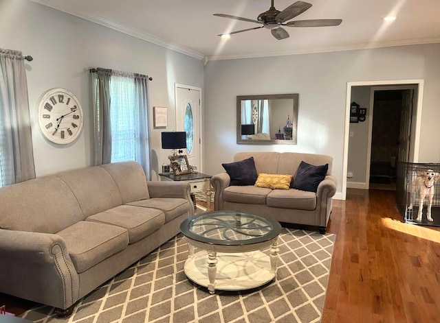 living room featuring crown molding, dark hardwood / wood-style flooring, and ceiling fan