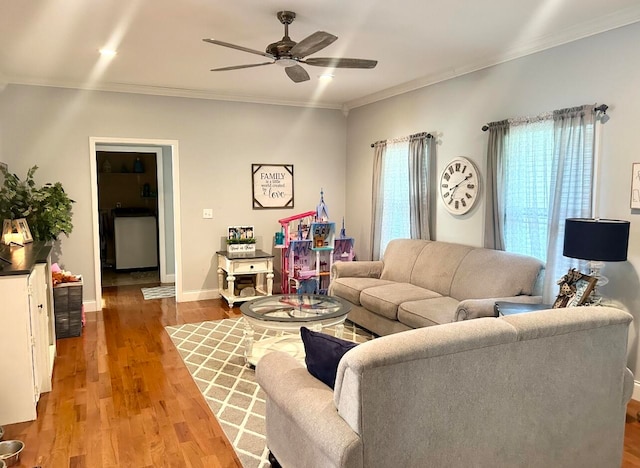 living room featuring ceiling fan, wood-type flooring, and crown molding