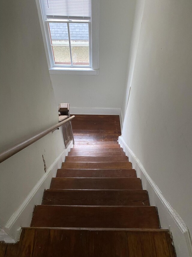 interior space featuring dark wood-type flooring