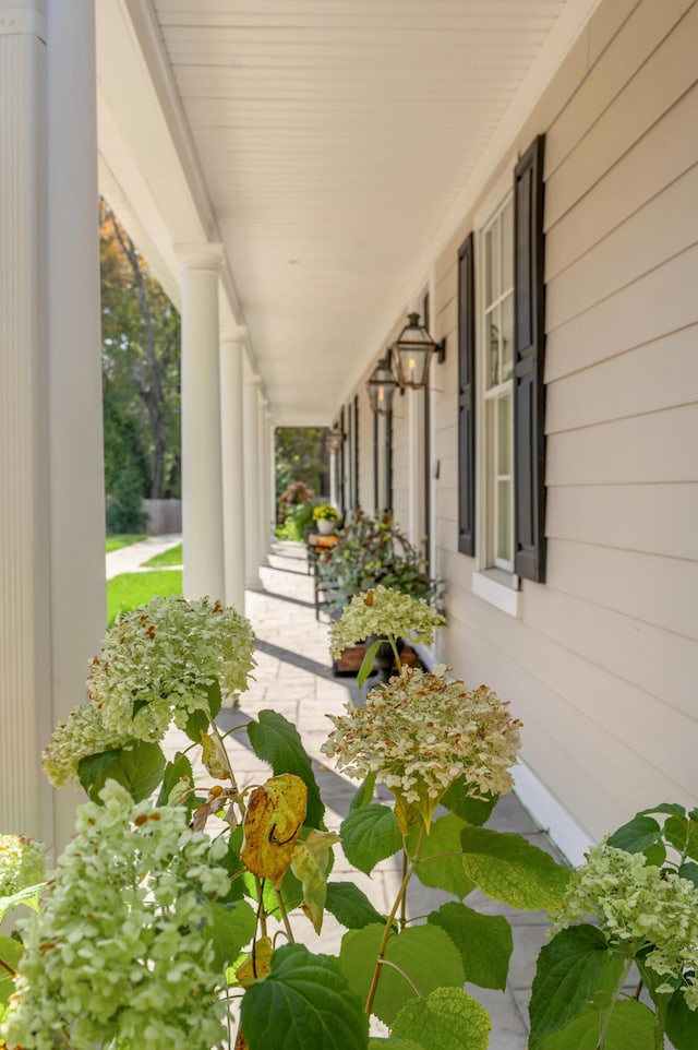 1602 Winners Cir # 41, Lexington, KY 40513 - view of covered porch