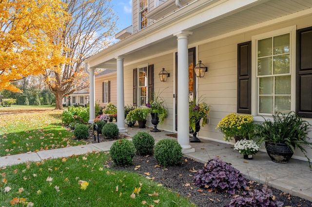 1602 Winners Cir # 41, Lexington, KY 40513 - entrance to property with covered porch and a lawn