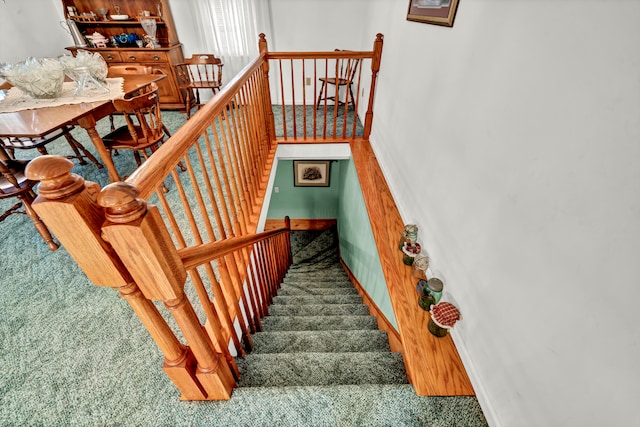 stairway with carpet