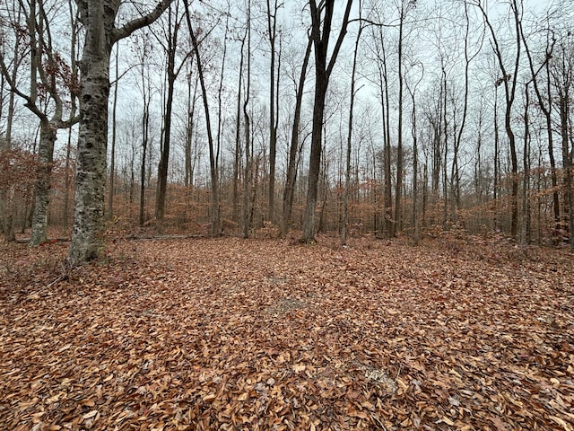 LOT13 Dudley Hill Rd, Nancy KY, 42544 land for sale