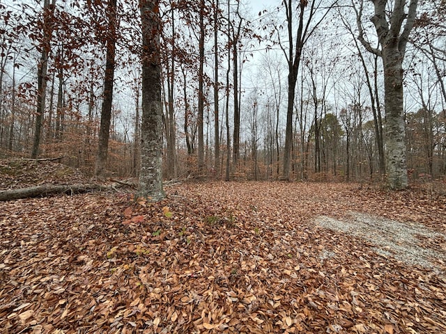 Listing photo 2 for LOT13 Dudley Hill Rd, Nancy KY 42544