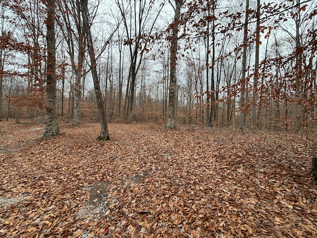 Listing photo 3 for LOT13 Dudley Hill Rd, Nancy KY 42544