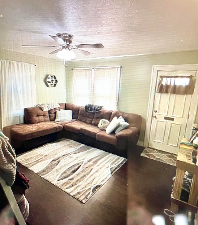 living room featuring ceiling fan and a textured ceiling