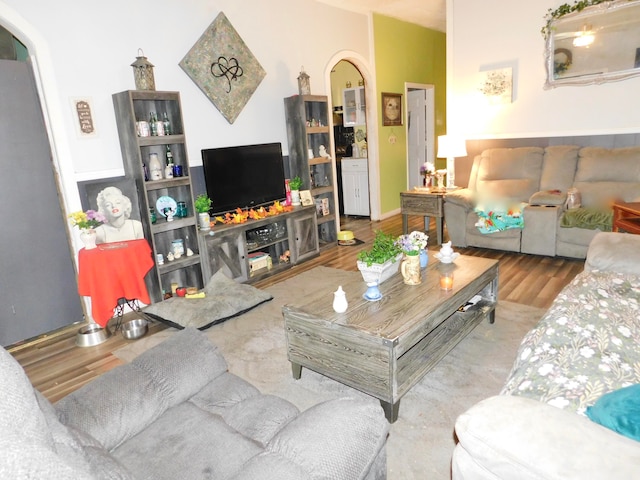 living room featuring light hardwood / wood-style floors