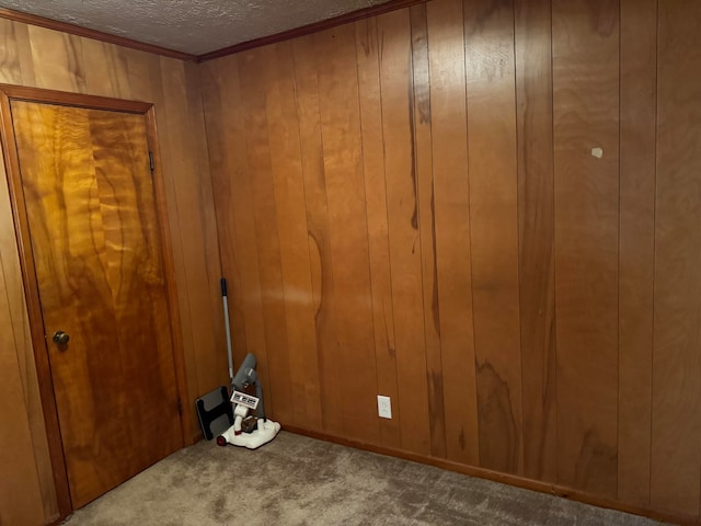 interior space featuring a textured ceiling, carpet floors, and wooden walls