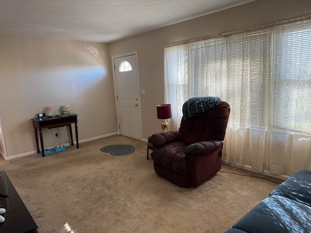 interior space featuring carpet, a healthy amount of sunlight, and a textured ceiling