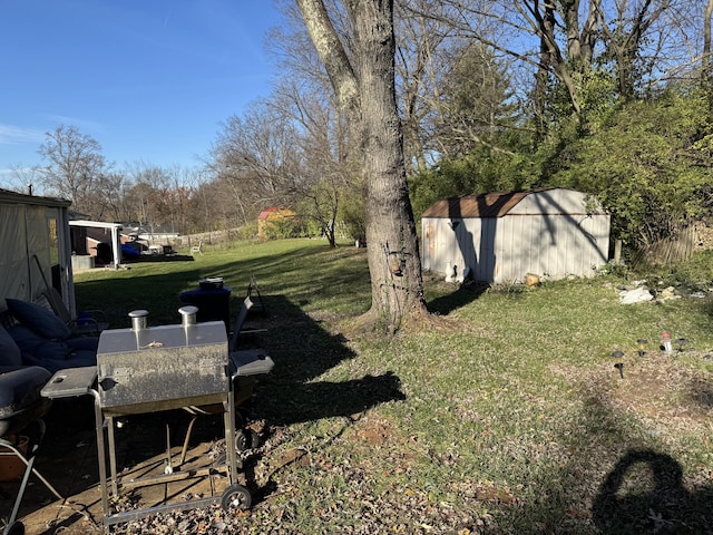 view of yard featuring a storage unit and an outbuilding