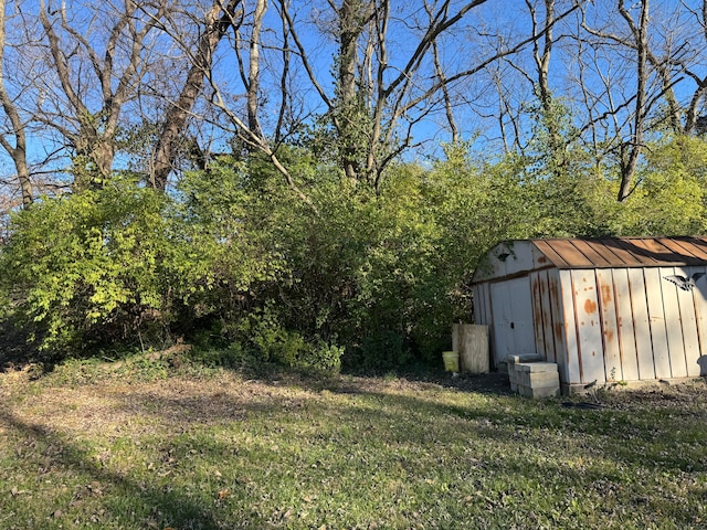 view of yard with a shed