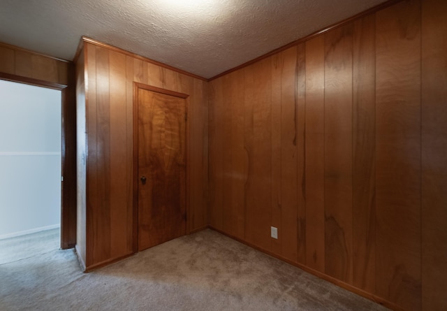 interior space with a closet, carpet, wooden walls, and a textured ceiling