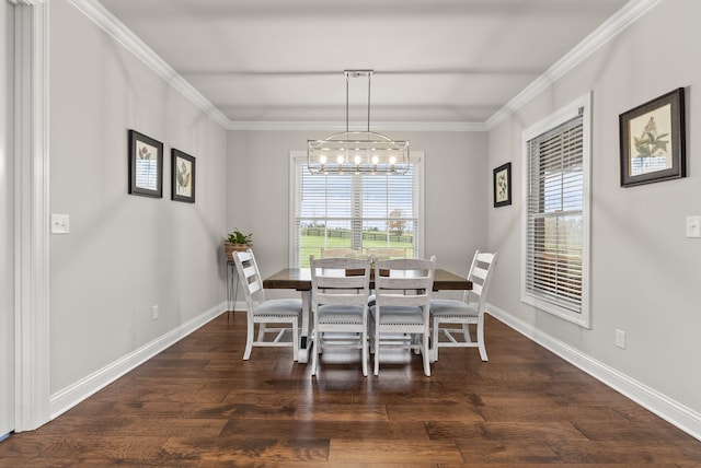 dining area with plenty of natural light, dark hardwood / wood-style floors, and ornamental molding