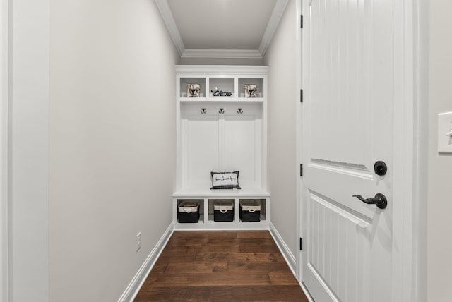 mudroom featuring crown molding and dark wood-type flooring