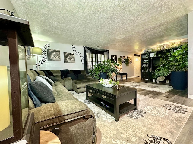 living room with wood-type flooring and a textured ceiling