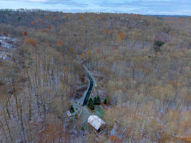 aerial view featuring a mountain view