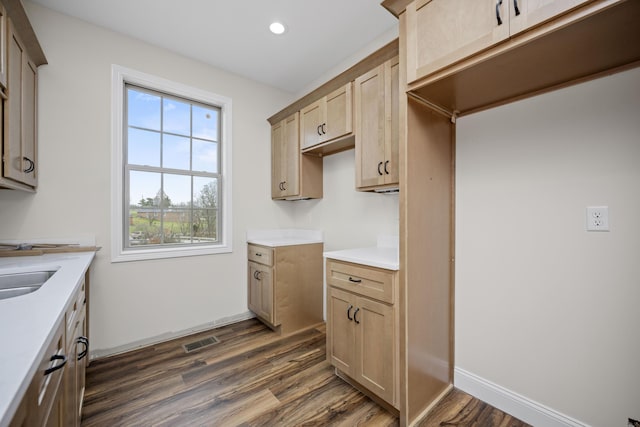 kitchen featuring light brown cabinets and dark hardwood / wood-style flooring