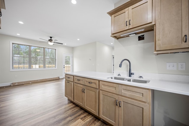 kitchen with ceiling fan, sink, and hardwood / wood-style floors