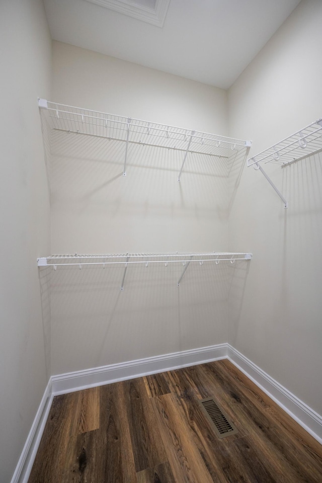 spacious closet featuring dark wood-type flooring