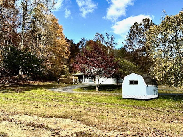 view of yard with a shed