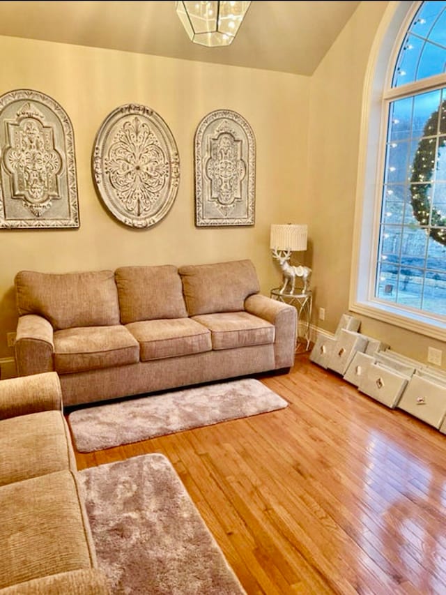 living room with wood-type flooring