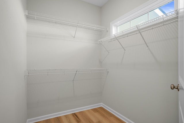 spacious closet featuring hardwood / wood-style flooring