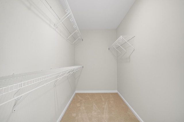 walk in closet featuring light colored carpet