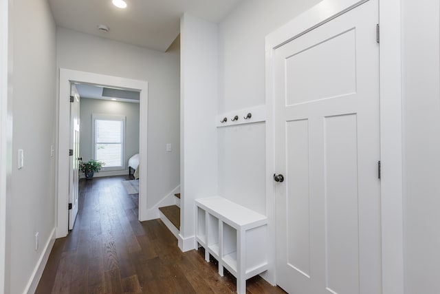 mudroom with dark hardwood / wood-style floors