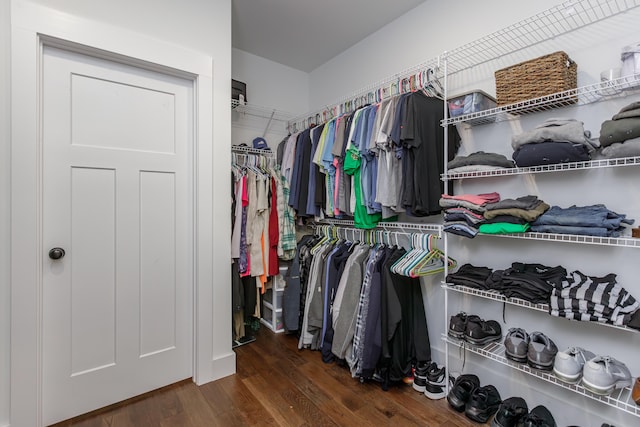 walk in closet featuring dark wood-type flooring