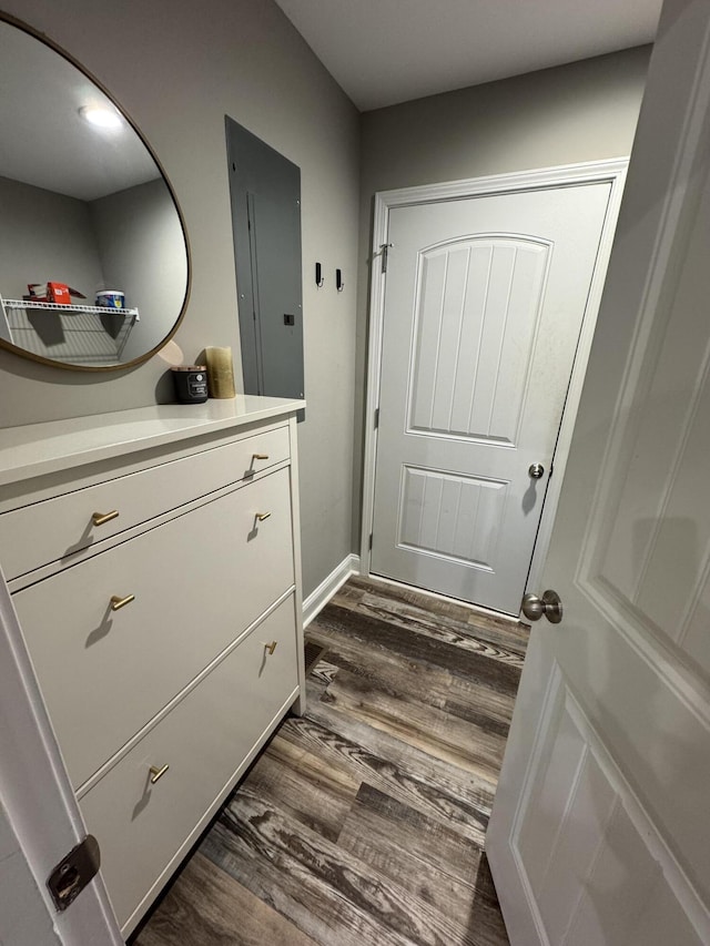 doorway featuring dark wood-type flooring and electric panel